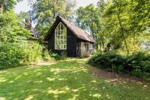 Unique Atelier in Bergen - Woud