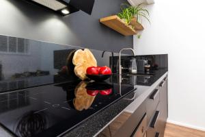 Design City Center Family double floor apartment studio Delft C38