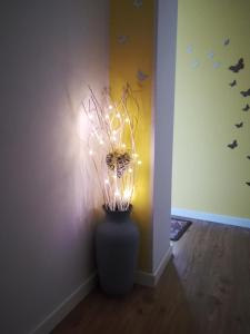 Appartamento Sissi, romantico in centro