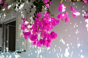 Felicias sun-side house