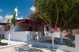 Felicia's sun-side house Naxos Greece