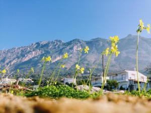 Semiramis Suites Messinia Greece