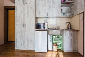 2 Room Cozy Apartment in Bakuriani