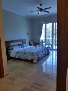 Koko and Suzys ocean dream