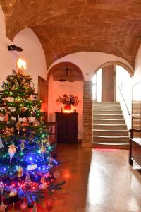 Camere Sotto le Stelle