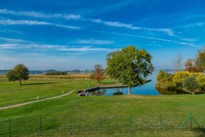 Kranich - Ferienwohnung mit Terrasse