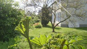 B&B / Chambres d'hotes La Maison Claire : photos des chambres