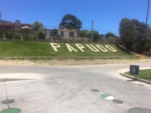 Lomas de Papudo 3, Bosque y Playa