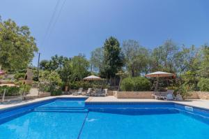 Farm of Dreams Algarve