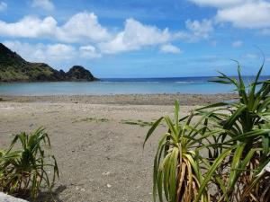 House Hotel Amami Minpaku Mura & Sauna