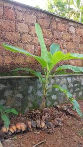 Siriniwasa Luxury Villa with Private Pool