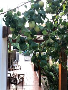 Residenza Cala Dorata