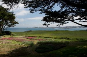 Hotels Hotel Aux Tamaris - Vue Mer : photos des chambres