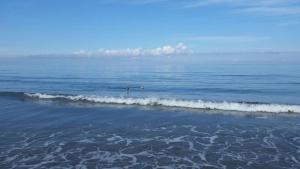 Cabaña Villa Flower Gold