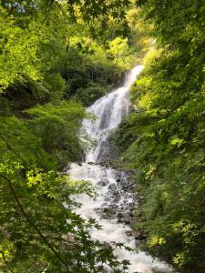 TORUS 修善寺 Condominium 貸切宿