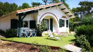 La canopée - Mimizan