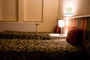 Standard Twin Room room in Hotel Alvida Prizren