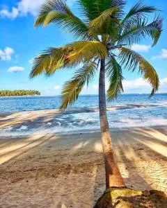 Lindo Flat Carneiros - 塔曼达雷