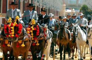 Apartamento wifi plaza del caballo