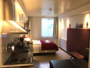 Economy Studio with Kitchenette - Basement room in Downtown Reykjavík Apartments