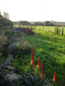 Agriturismo Cuile de Molino img74
