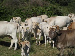 Agriturismo Cuile de Molino img53