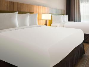 Queen Room with Two Queen Beds - Disability Access/Non-Smoking room in Country Inn & Suites by Radisson Bentonville South - Rogers AR