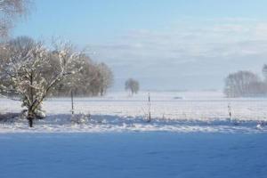 Hof Heideland 2 - Fenster zum Hof