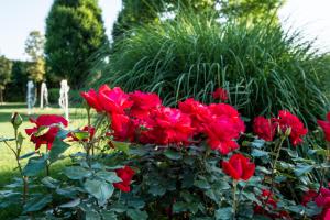 Vierbettzimmer mit Gartenblick