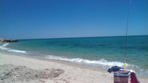 Le Clos des Arbousiers photo 12