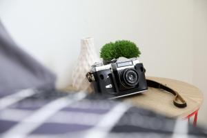 Luxury apartment in Playa Paraiso by AltamarHomes