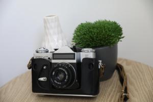 Luxury apartment in Playa Paraiso by AltamarHomes