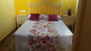 Alameda II con CHIMENEA Salòn y BARBACOA en patio