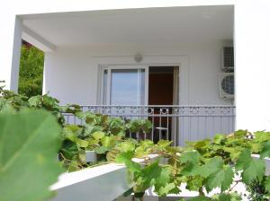 Apartment with Terrace room in Villa Mila