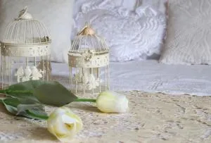 Charming GEA - Arienzo