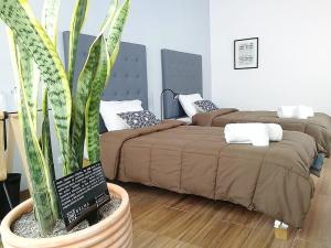 Belma Boutique Bed and Breakfast