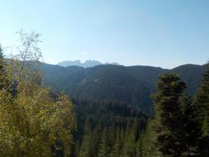 Berghütte Plafötschalm