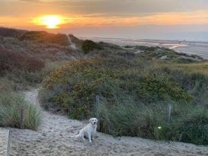 De Haan - Apartment Silverbeach