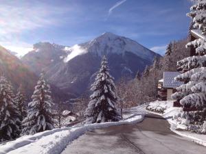 Appartements La Plagne/Champagny Studio : photos des chambres