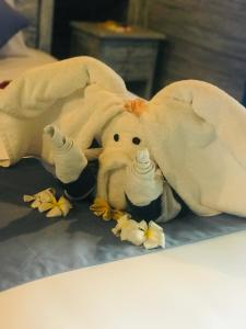 DYuki Huts Lembongan