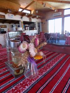 Hanul Cu Flori Braila Booking Deals Photos Reviews