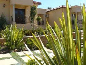 Moon and Sixpence Garden Guest House