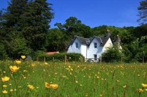 Achnacriche B&B - Tobermory