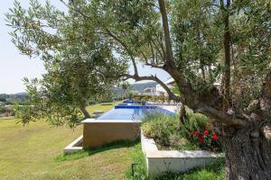 Afisia Villas Halkidiki Greece