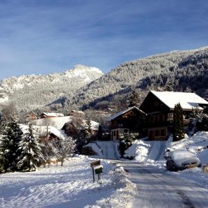 Appartements L'Ours Blanc Lodge : photos des chambres