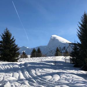 Appartements L'Ours Blanc Lodge : photos des chambres