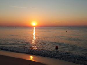 Sa Terrazza costarei img43