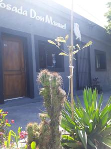Posada Don Manuel