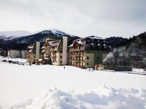 Bakuriani Hills Apartment