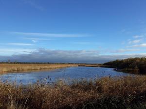 Villas Villa en Camargue : photos des chambres